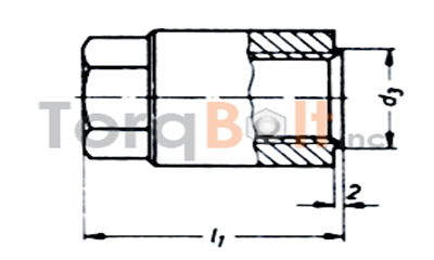 DIN 2510 Part 6 Type BF Cap Nut